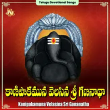 Kanipakamuna Velasina Sri Gananatha